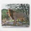 Recherche de panthera tapis souris Horizontal