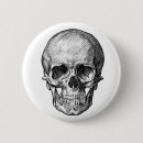 Recherche de crâne badges Anatomie