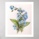 Recherche de dessin au crayon coloré posters Fleur
