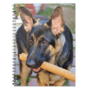 Recherche de german shepherd Pets