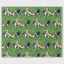 Recherche de chiot beagle papier cadeau Chiots