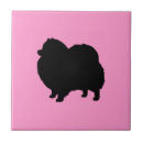 Recherche de races de chien carreaux Chiens