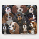 Recherche de cavaliers tapis souris Charles