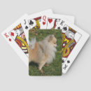 Recherche de spitz jeux de cartes Dog