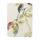 Recherche de des branches magnets Aquarelle