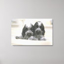 Recherche de cocker impressions sur toile Chien