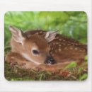 Recherche de le kentucky tapis souris Adam jones