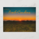 Recherche de soleil de myrtle beach Carolina sud
