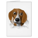 Recherche de dessin beagle cartes postales Chiot