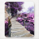Recherche de escaliers tapis souris Photographie