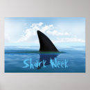 Recherche de shark posters Ocean
