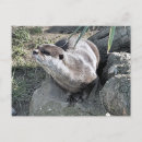 Recherche de griffes cartes postales Nature