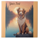 Recherche de colley carreaux Animal