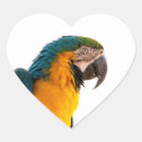 Recherche de perroquet coloré autocollants Zoo