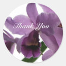 Recherche de orchiid autocollants Anniversaire