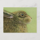 Recherche de lapins cartes postales Peinture