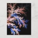 Recherche de fractale cartes postales Rose