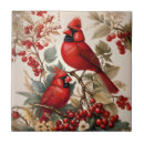 Recherche de oiseau rouge carreaux Faune