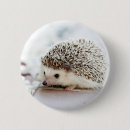Recherche de hérissons badges Adorable