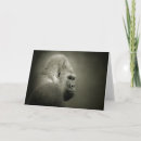 Recherche de contemplation vœux cartes Photographie
