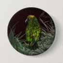 Recherche de perroquet coloré badges Animal