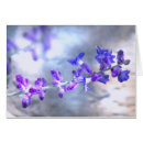 Recherche de horticole cartes postales Horticulture