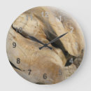 Recherche de racine horloges Nature