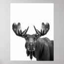 Recherche de élan posters Portrait