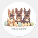 Recherche de belge malinois autocollants Chiot