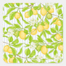 Recherche de citronnier autocollants Nourriture