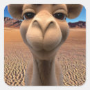 Recherche de désert de chameau autocollants Égypte