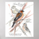 Recherche de oiseaux chanteurs posters Pour tous