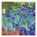 Recherche de iris van gogh posters Néerlandais