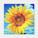 Recherche de tournesol magnets Abeille