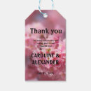 Recherche de sakura photographie Nature