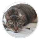 Recherche de tigres boutons et poignées de porte Pour enfants