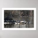 Recherche de buch posters Photographie