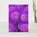 Recherche de amsterdam vœux cartes Travel
