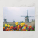 Recherche de moulins à vent cartes postales Europe