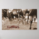 Recherche de cheval travail posters Ouest