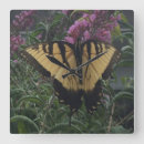 Recherche de papillon jaune horloges Pour tous