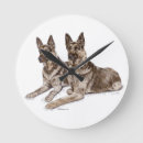 Recherche de bergers horloges Chien de garde