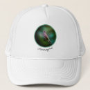 Recherche de colibri casquettes Oiseau