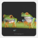 Recherche de amphibie autocollants Faune
