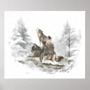 Recherche de loup dans la neige posters Faune