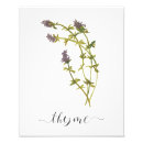 Recherche de de thym art Botanique