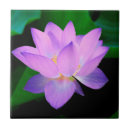 Recherche de fleur de lotus carreaux Fleurs