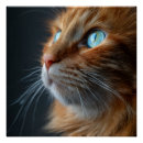 Recherche de chat tigre posters Chaton