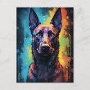 Recherche de belges cartes postales Malinois belge