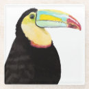 Recherche de toucans dessous de verres Tropical